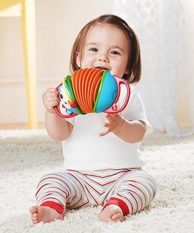 Baby Accordion