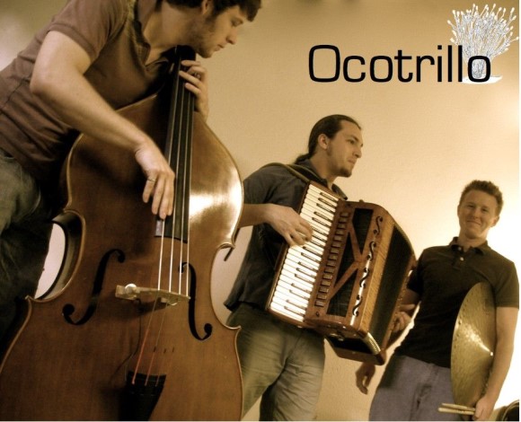 Ocotrillo
