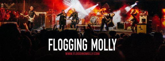 Flogging Mollt